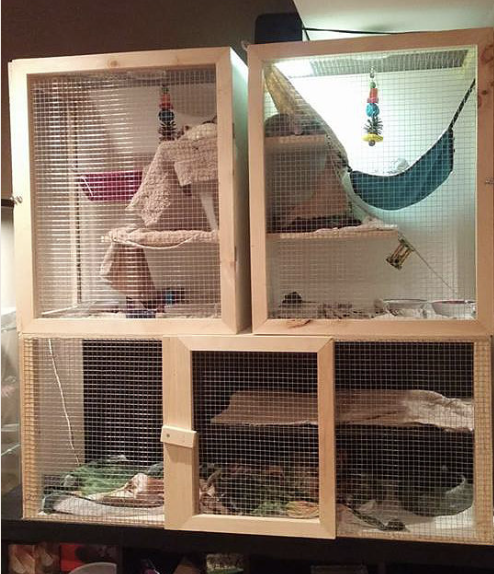 Custom rat cage outlet